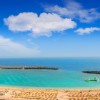 Hornatá kráska Gran Canaria